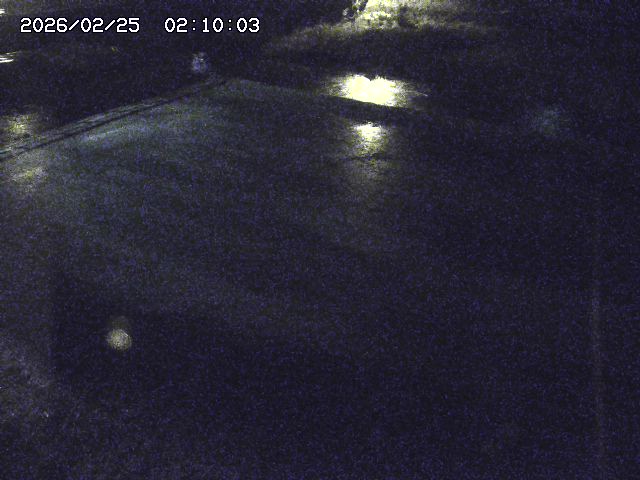 河内川３2026/02/25 02:30