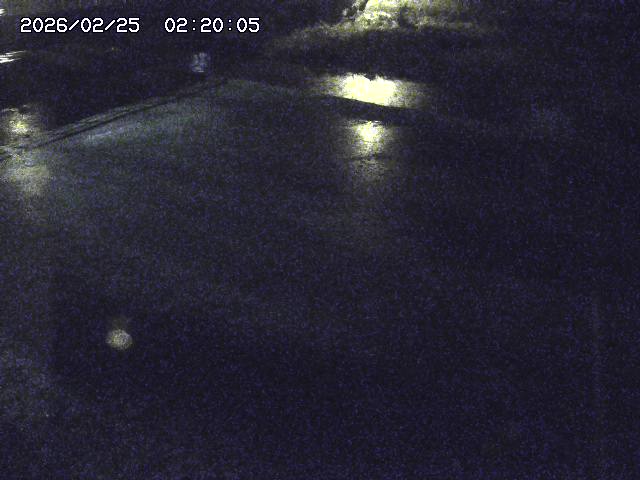 河内川３2026/02/25 02:30