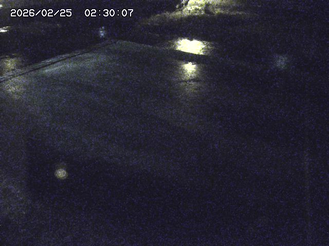 河内川３2026/02/25 02:30