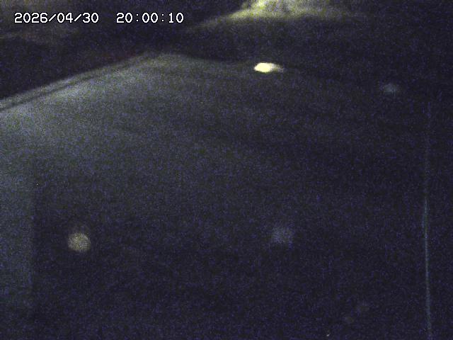 河内川３2026/05/01 16:50