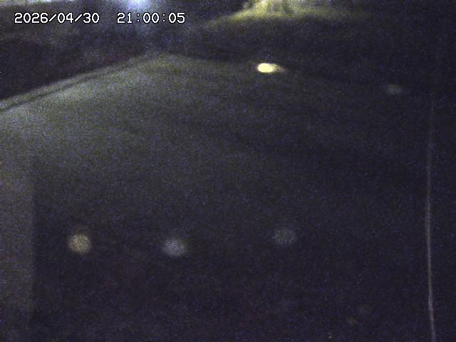 河内川３2026/05/01 16:50