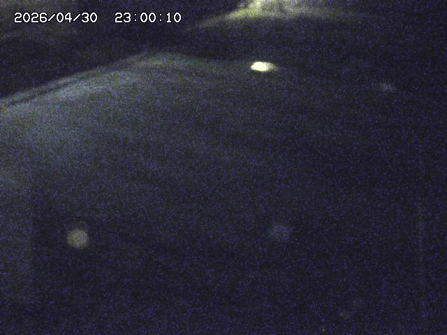 河内川３2026/05/01 16:50