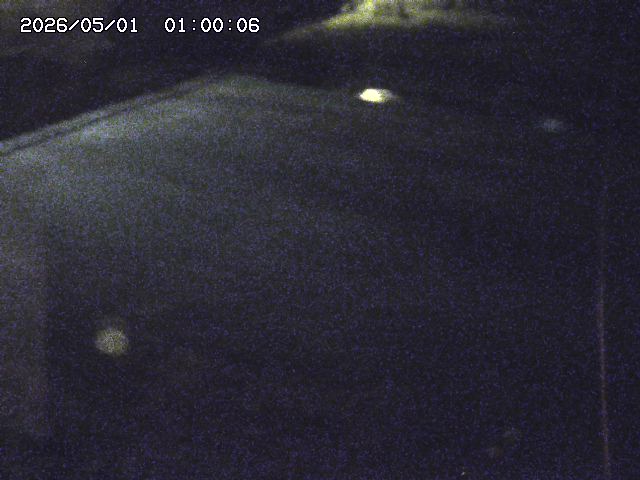 河内川３2026/05/01 16:50