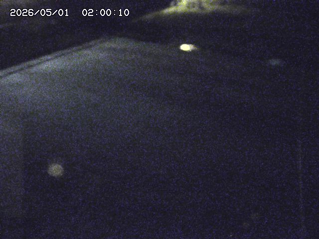 河内川３2026/05/01 16:50