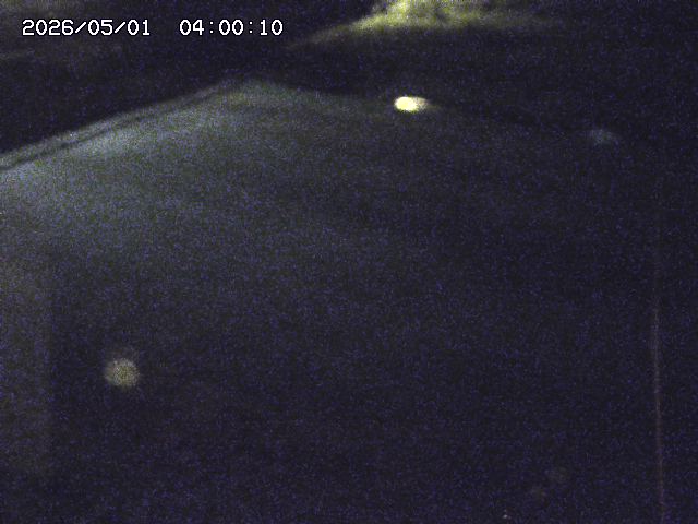 河内川３2026/05/01 16:50