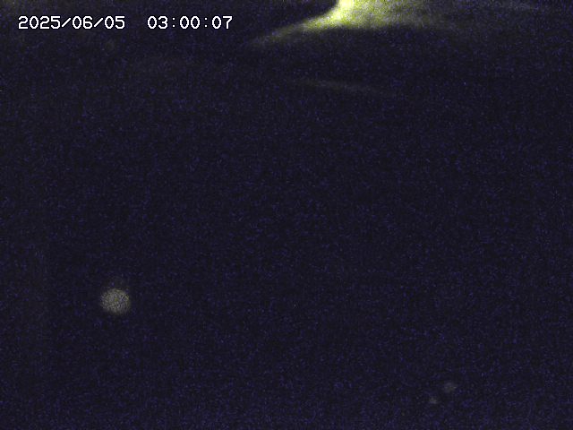 河内川３2025/06/06 00:50