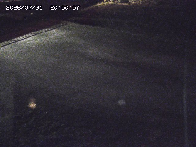 河内川３2026/08/01 20:40