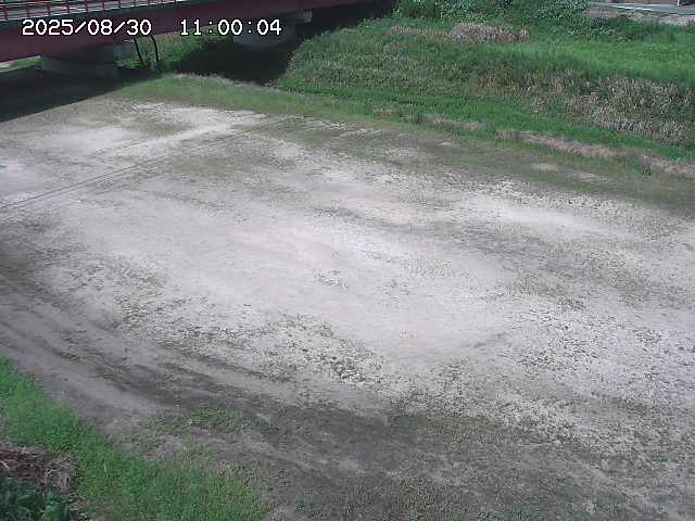 河内川３2025/08/31 09:00