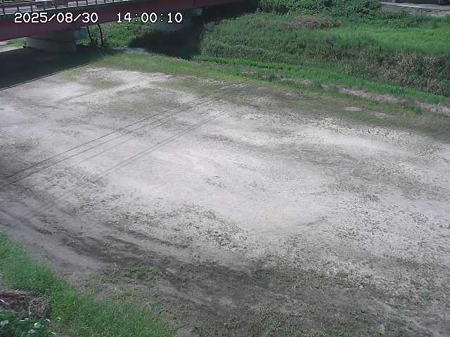 河内川３2025/08/31 09:00