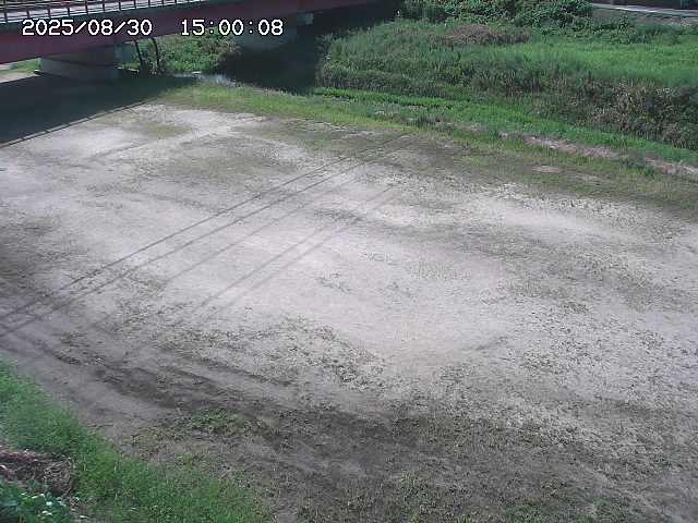 河内川３2025/08/31 09:00
