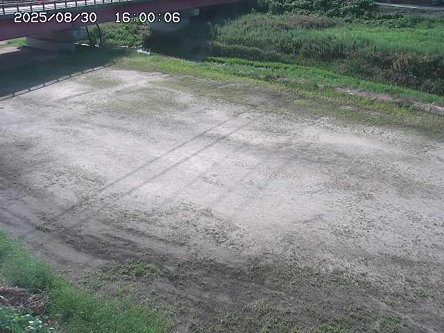 河内川３2025/08/31 09:00