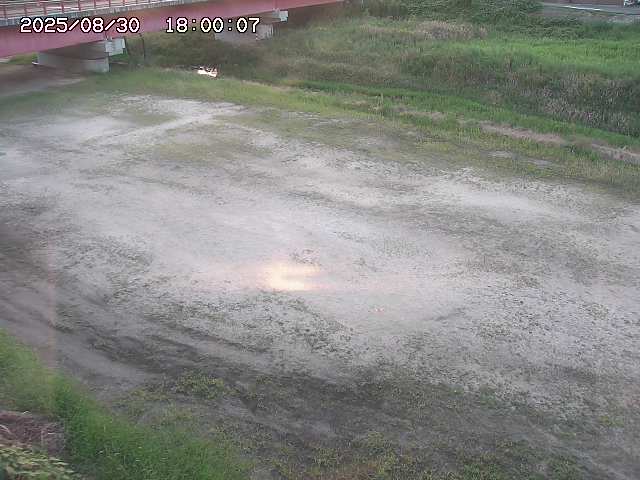 河内川３2025/08/31 09:00