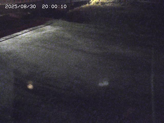 河内川３2025/08/31 09:00