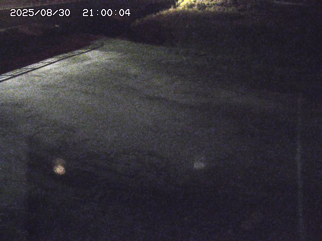河内川３2025/08/31 09:00