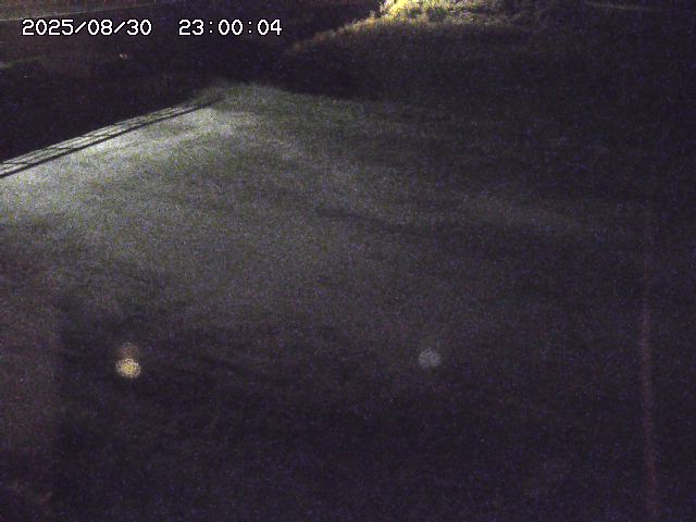 河内川３2025/08/31 09:00