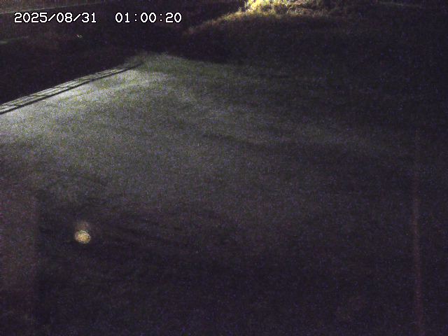 河内川３2025/08/31 09:00