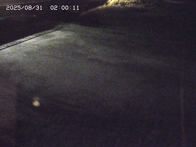 河内川３2025/08/31 09:00