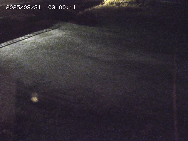 河内川３2025/08/31 09:00