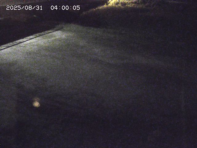 河内川３2025/08/31 09:00