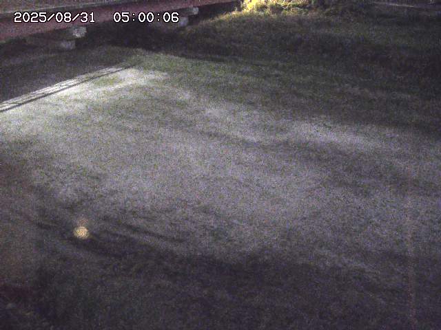 河内川３2025/08/31 09:00
