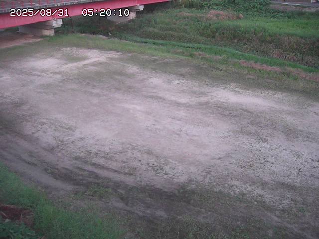 河内川３2025/08/31 09:00