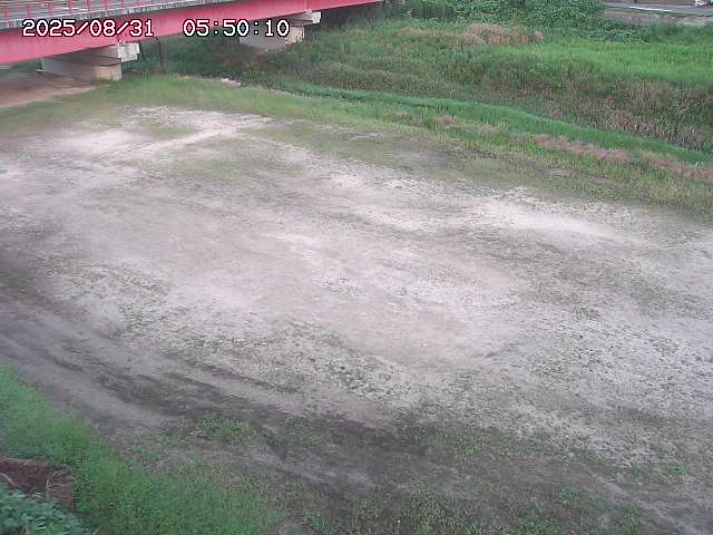 河内川３2025/08/31 09:00
