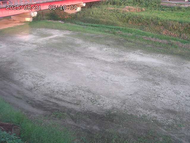 河内川３2025/08/31 09:00