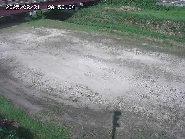 河内川３2025/08/31 09:00