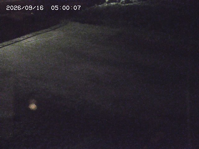 河内川３2026/09/16 16:30