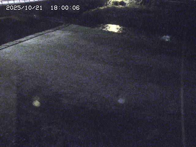 河内川３2025/10/22 11:10