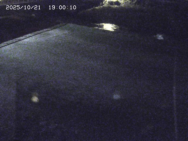 河内川３2025/10/22 11:10