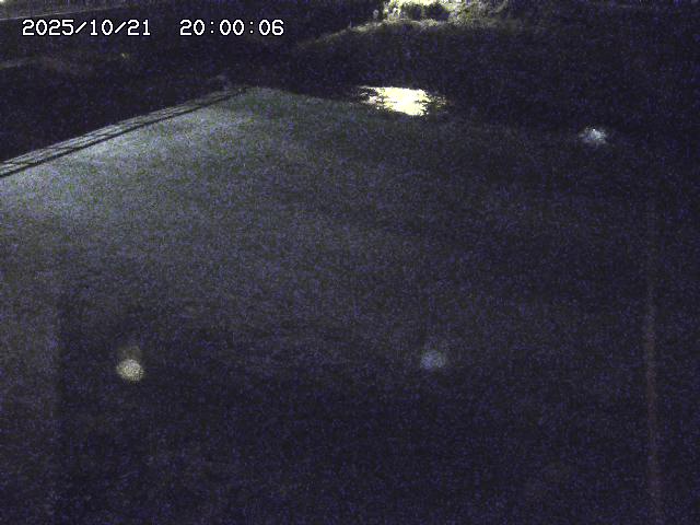 河内川３2025/10/22 11:10