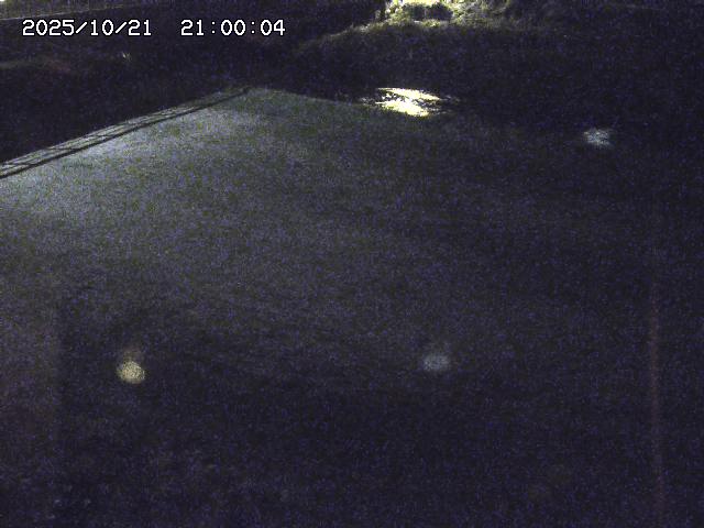 河内川３2025/10/22 11:10