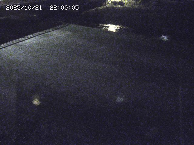 河内川３2025/10/22 11:10
