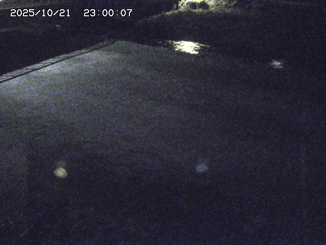 河内川３2025/10/22 11:10