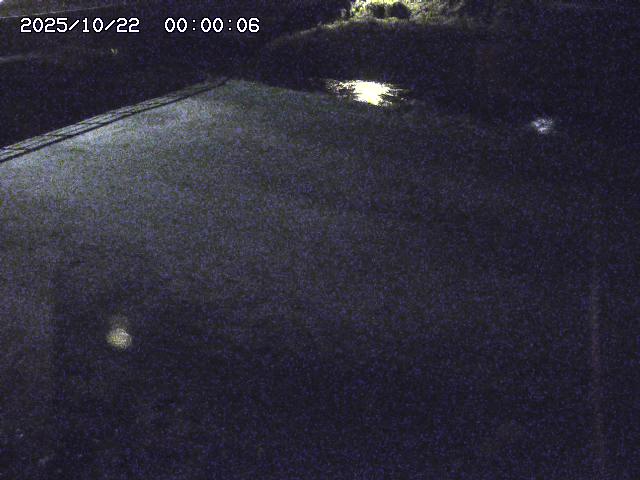 河内川３2025/10/22 11:10