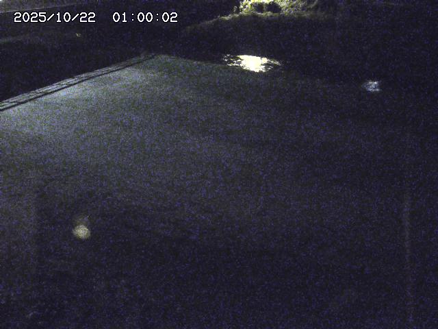 河内川３2025/10/22 11:10