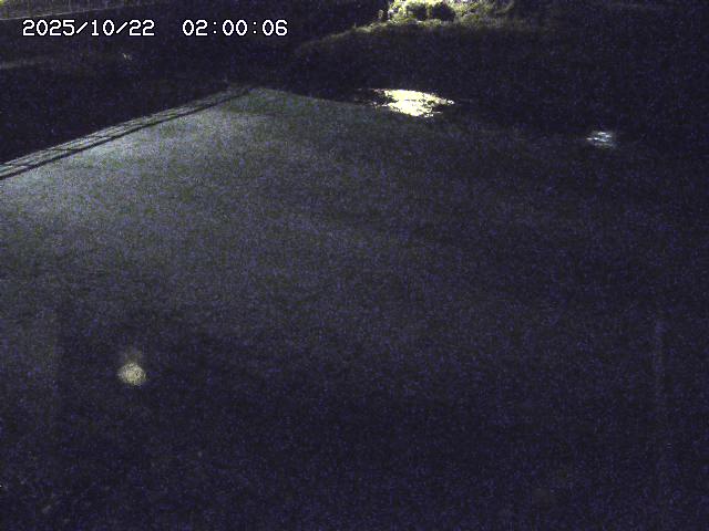 河内川３2025/10/22 11:10