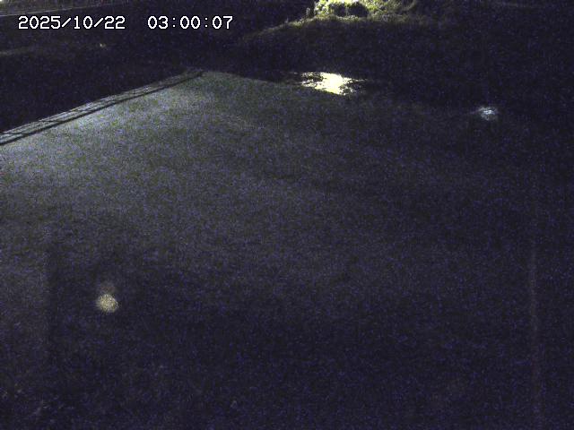 河内川３2025/10/22 11:10