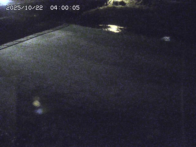 河内川３2025/10/22 11:10