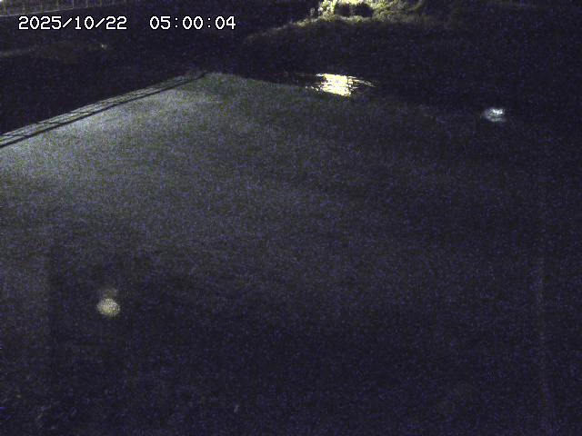 河内川３2025/10/22 11:10