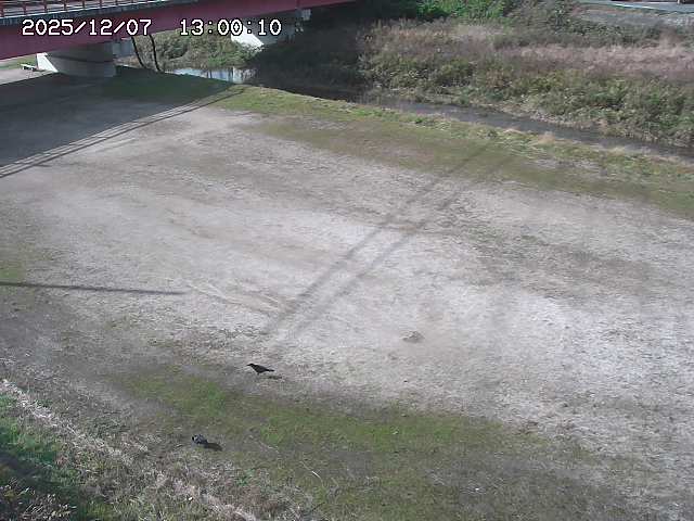 河内川３2025/12/08 11:20