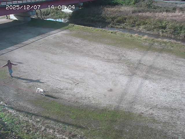 河内川３2025/12/08 11:20