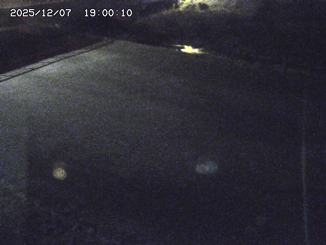 河内川３2025/12/08 11:20