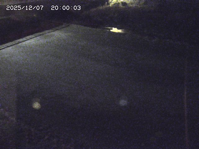 河内川３2025/12/08 11:20