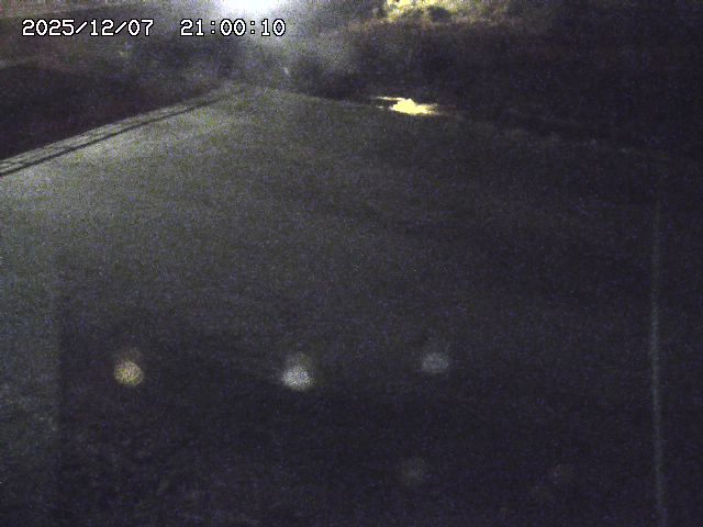 河内川３2025/12/08 11:20