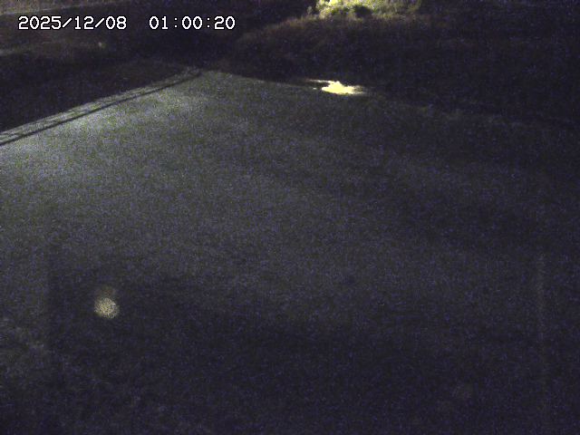 河内川３2025/12/08 11:20