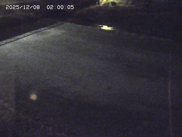 河内川３2025/12/08 11:20