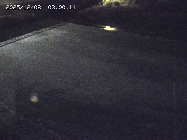 河内川３2025/12/08 11:20