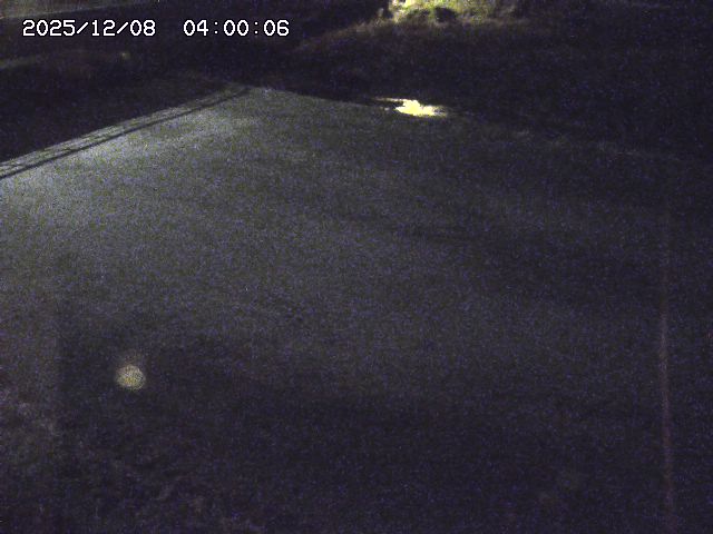 河内川３2025/12/08 11:20